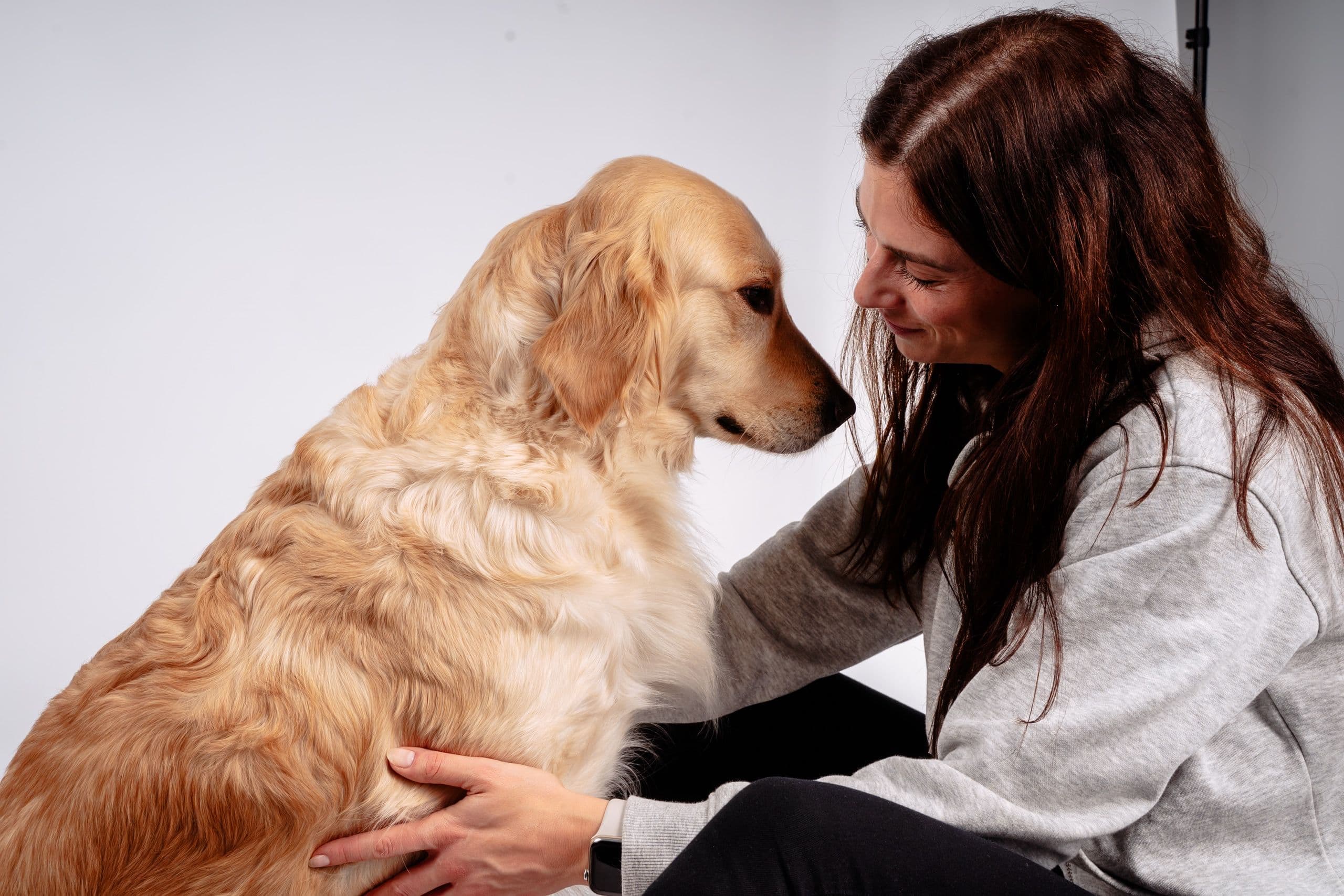 Hund wird liebevoll gestreichelt - Lucky Liebe Quiz
